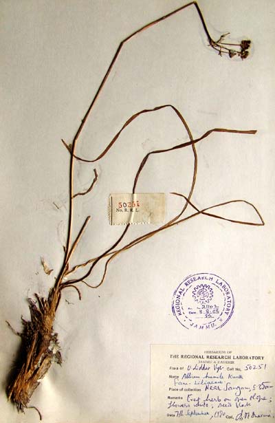 Official Record