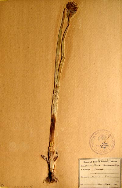 Official Record