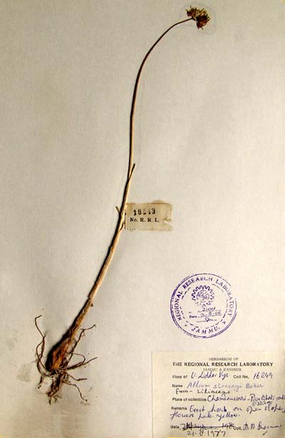 Official Record