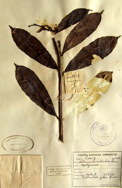 Official Record