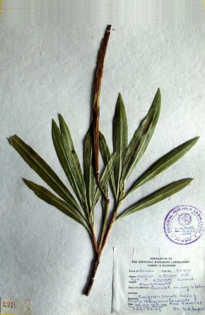 Official Record
