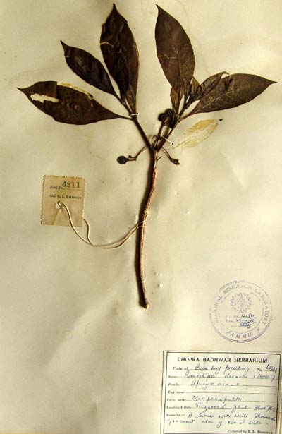 Official Record
