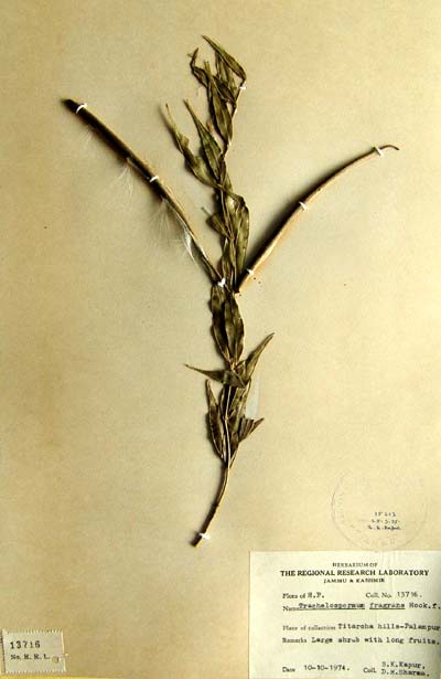 Official Record