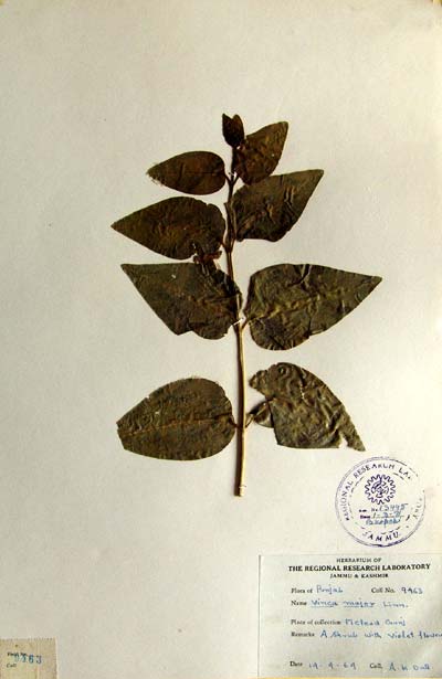 Official Record