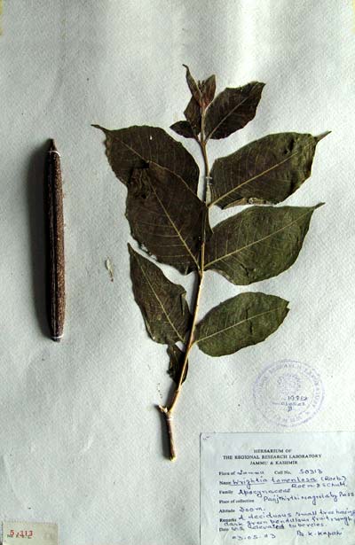 Official Record