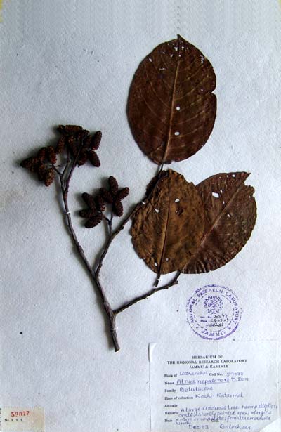 Official Record