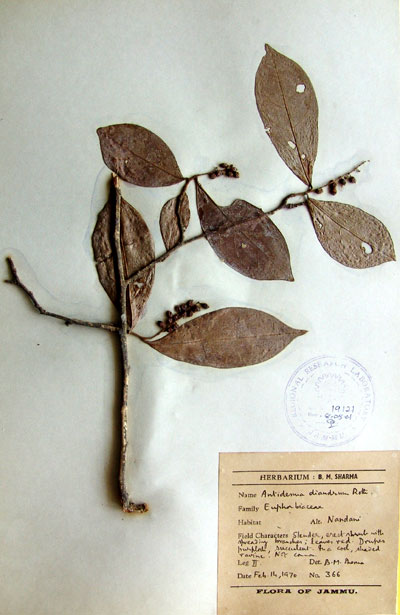 Official Record