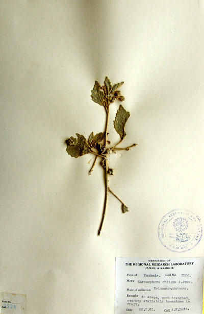 Official Record
