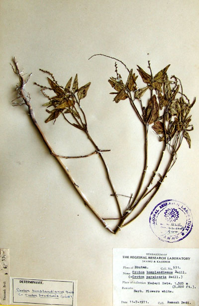 Official Record