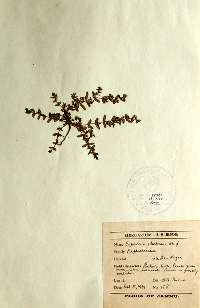 Official Record