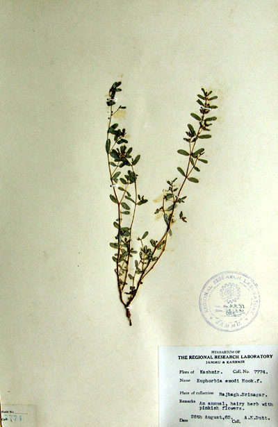 Official Record