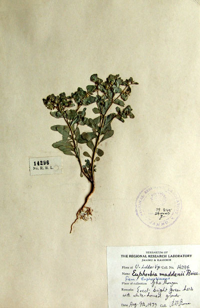 Official Record