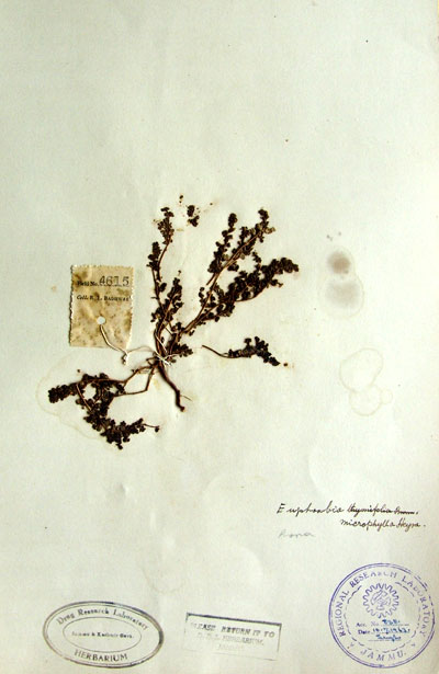 Official Record