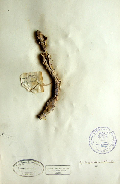 Official Record