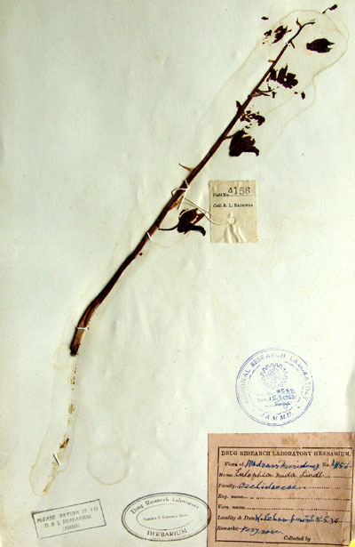 Official Record