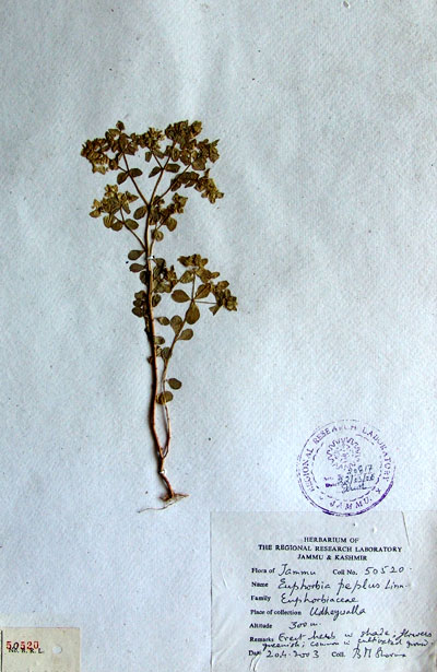 Official Record