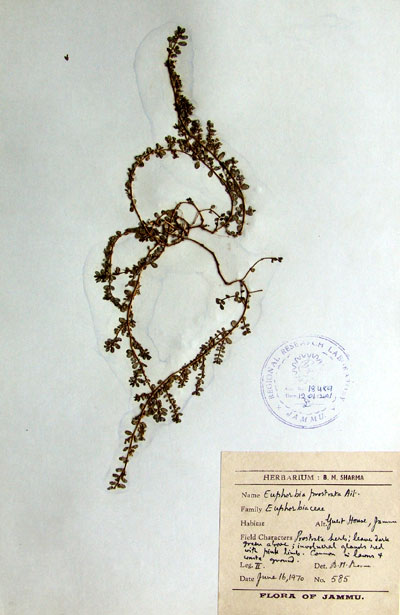Official Record