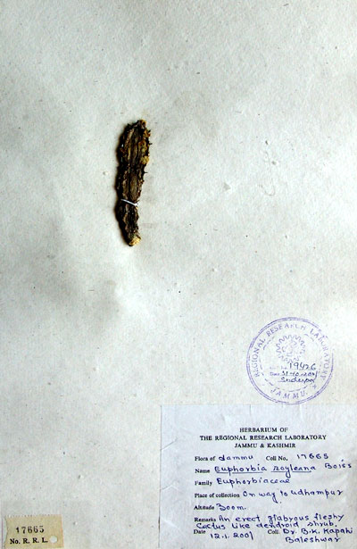 Official Record