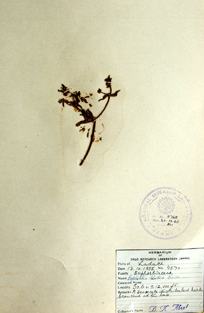 Official Record