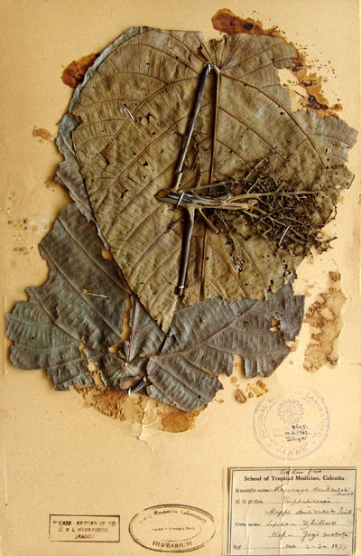 Official Record