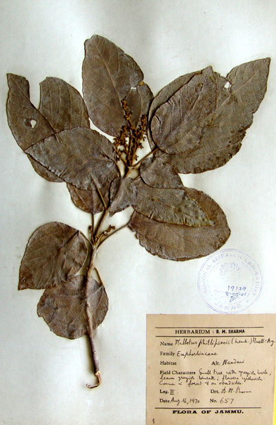 Official Record
