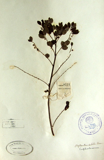 Official Record