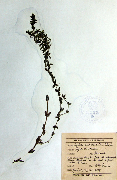 Official Record