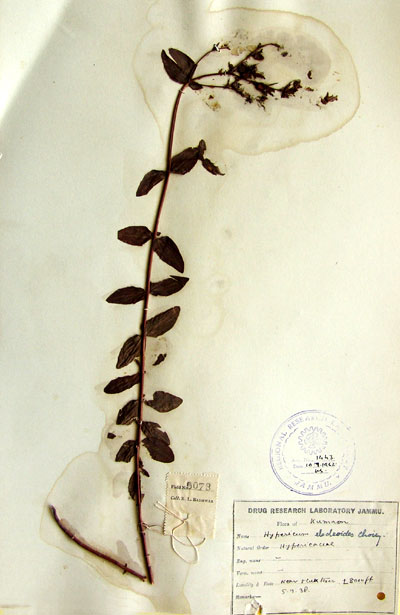 Official Record