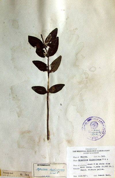 Official Record