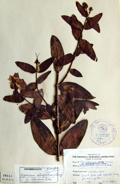 Official Record
