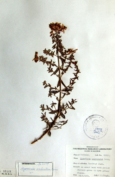 Official Record