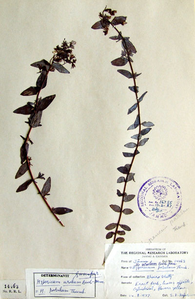 Official Record