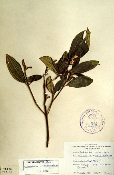 Official Record