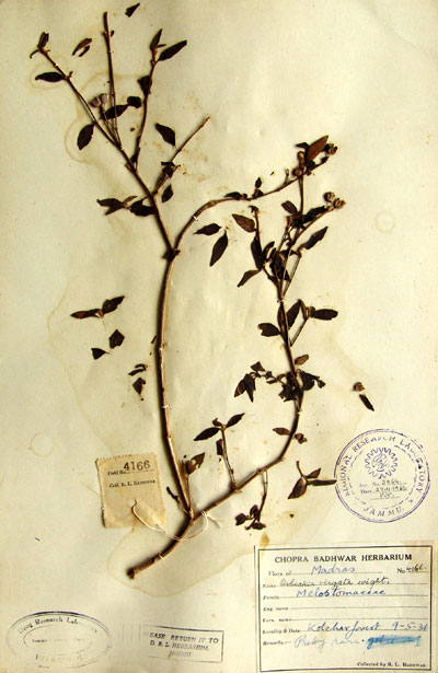 Official Record