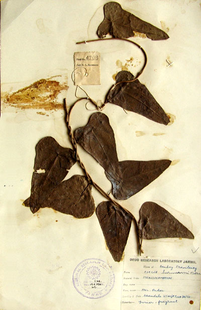 Official Record