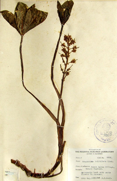 Official Record