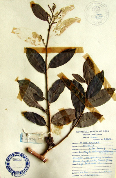 Official Record