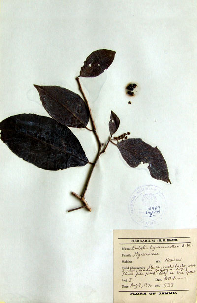 Official Record