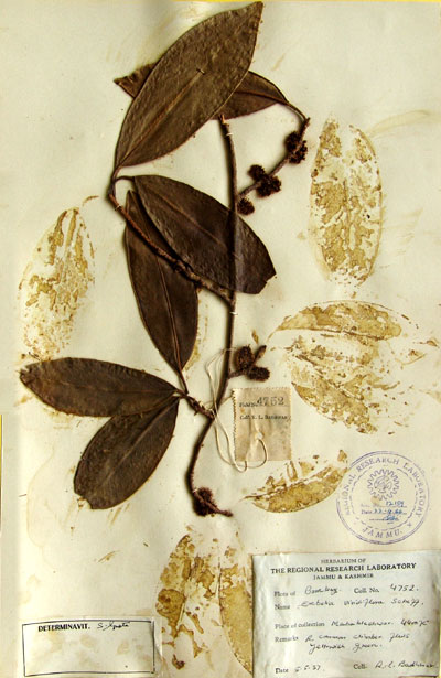 Official Record