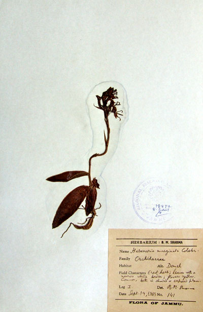Official Record