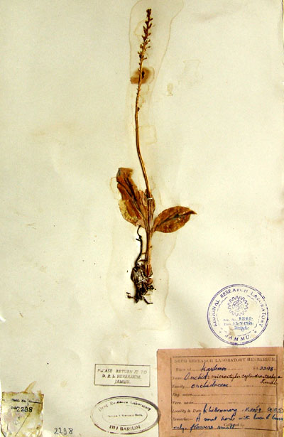 Official Record