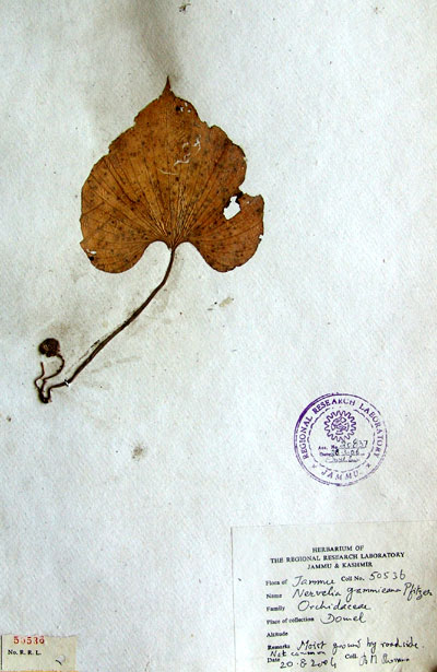 Official Record