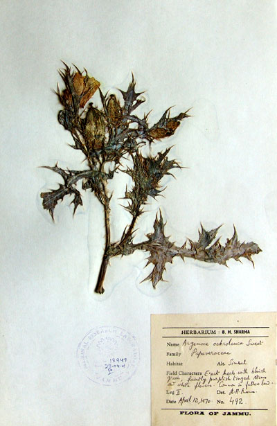 Official Record