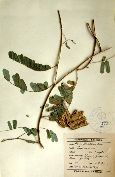 Official Record