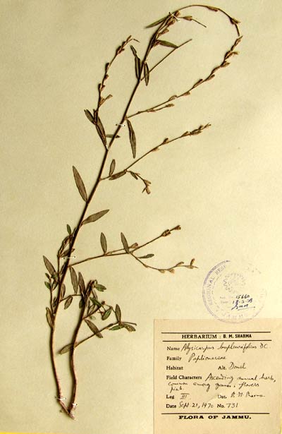 Official Record