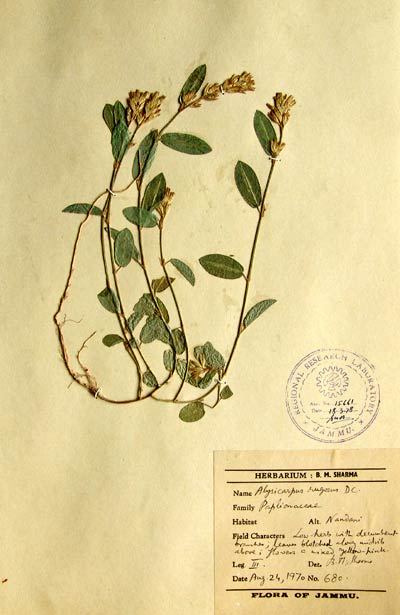 Official Record