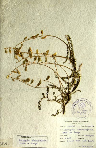 Official Record