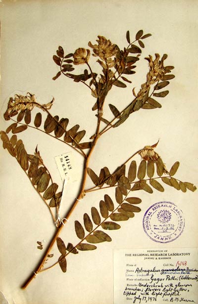 Official Record