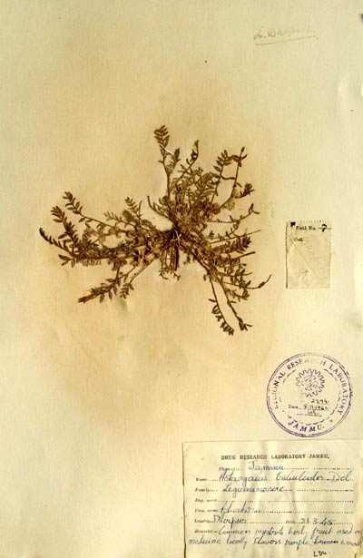 Official Record
