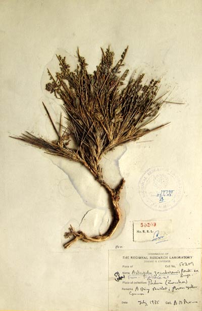 Official Record